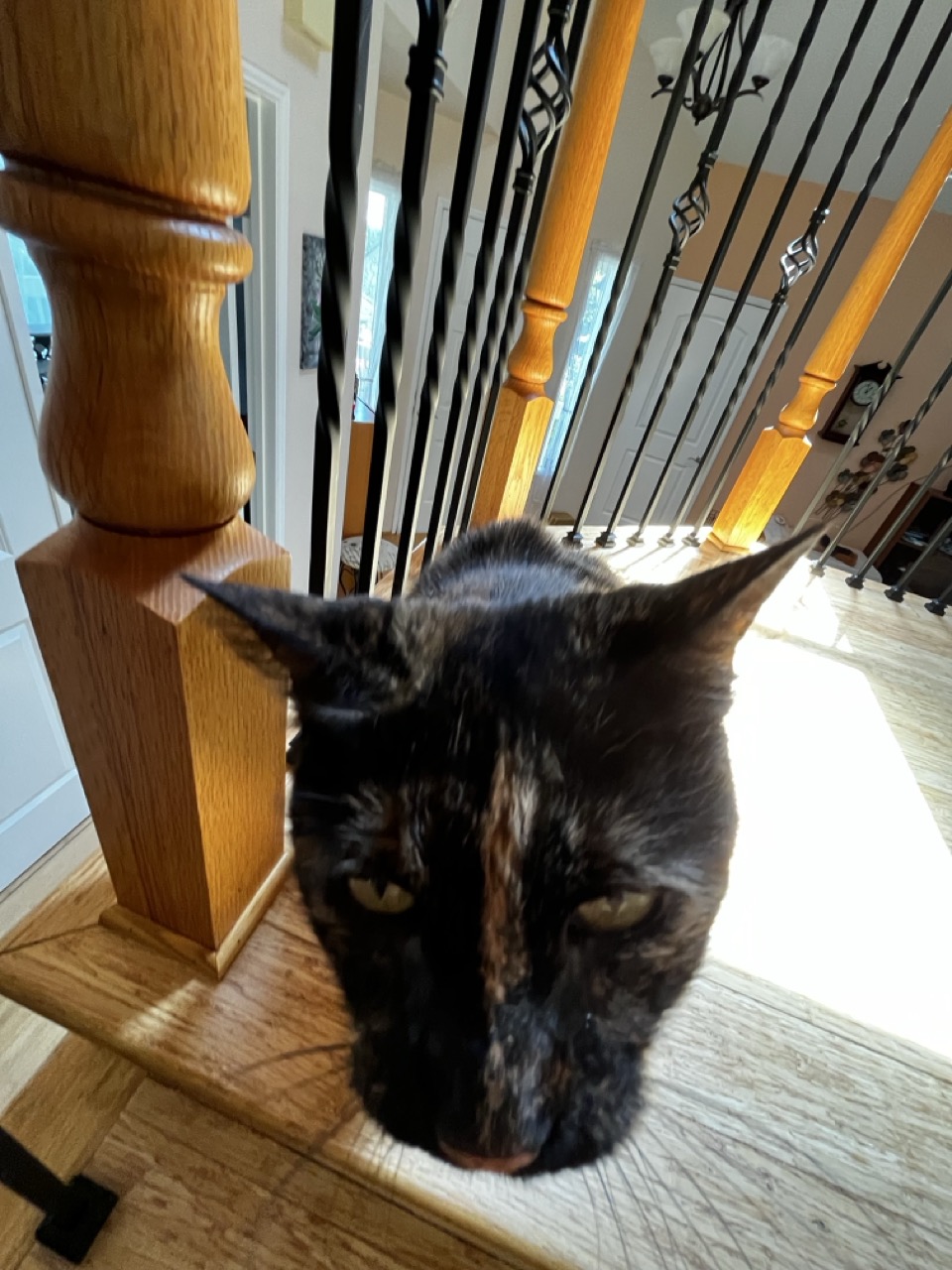 Ksusha is not amused